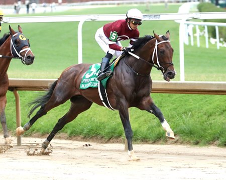 Magnitude wins the Stephen Foster Stakes at Churchill Downs