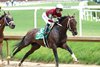 Magnitude wins the 2026 Stephen Foster Stakes at Churchill Downs