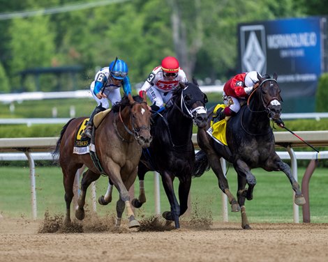 Book'em Danno Rallies Past Bentornato in True North