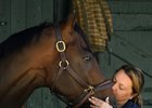 A kiss for Englishman from trainer Cherie DeVaux, the morning after Englishman won the Woody Stephens (G1)  at Saratoga in Saratoga Springs, N.Y., on June 7, 2026. 