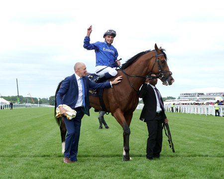 Ombudsman after winning the Prince of Wales's Stakes at Ascot Racecourse