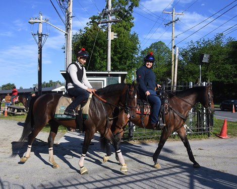 Golden Tempo Doubles Up in Belmont Stakes