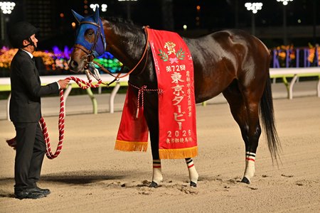 Finger wins the Tokyo Derby at Oi Racecourse 