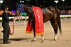Finger wins the 2026 Tokyo Derby at Oi Racecourse
ridden by Keita Tosaki, trained by Hiroyasu Tanaka, and owned by M's Racing