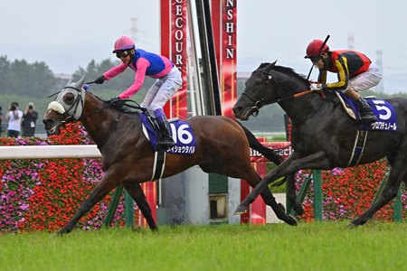 Meisho Tabaru wins the Takarazuka Kinen at Hanshin Racecourse