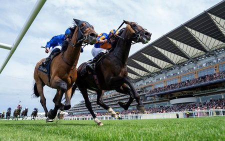 Scandinavia, outside, beats Trawlerman in The Gold Cup at Ascot Racecourse