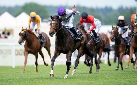 Orthodox leads his juvenile rivals behind in the Norfolk Stakes at Ascot Racecourse
