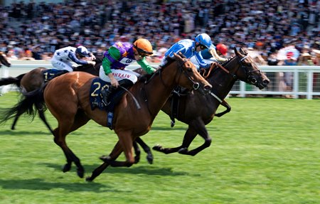 Venetian Sun (outside) beats Spicy Marg in the Commonwealth Cup at Ascot Racecourse