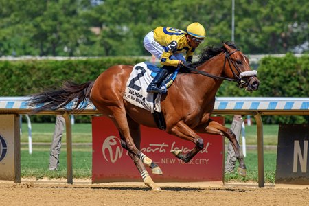 Flight Command breaks his maiden at Aqueduct Racetrack
