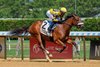 Flight Command - MSW - Belmont at the Big A - 062526