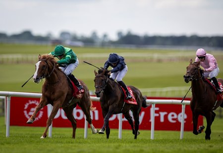 Benvenuto Cellini (inside) wins the Irish Derby at the Curragh