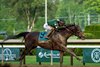 Golden Tempo with Jose Ortiz wins the Belmont S. Presented by NYRA Bets (G1) at Saratoga in Saratoga Springs, N.Y., on June 6, 2026.