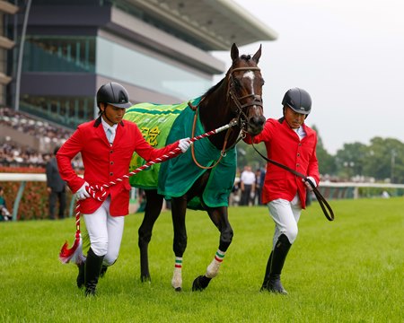 Sixpence, by Kizuna, wins the Yasuda Kinen at Tokyo Racecourse