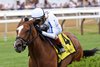 Slay the Day wins the Soaring Softly Stakes on Sunday, June 7, 2026 at Saratoga Race Course