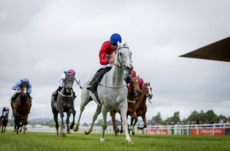 Pretty Polly Stakes Winner Estrange Retired