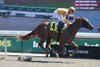 Ez Tina, Maiden Win, May 17 2026, Woodbine