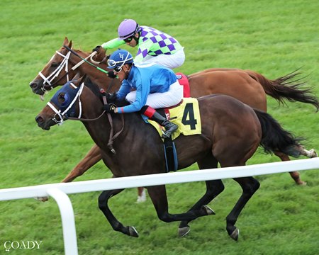 Frosty View (inside) wins the Brooks Fields Mile Stakes at Canterbury Park