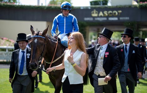 Venetian Sun Tops Colts in Ascot's Commonwealth Cup