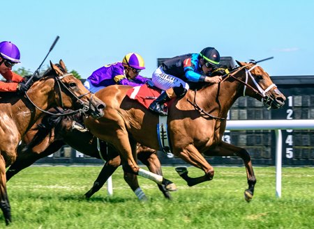 Dona Clota wins the Robert G. Dick Memorial Stakes at Delaware Park