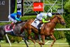 Fitz Right with Flavien Prat wins the Wonder Again (G2T)  at Saratoga in Saratoga Springs, N.Y., on June 5, 2026.  