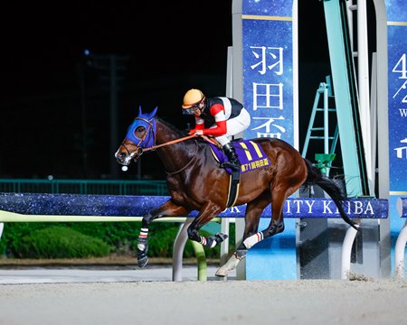 Finger wins the Haneda Hai at Oi Racecourse