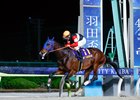 Finger wins the Haneda Hai on Sunday, April 29 at Oi Racecourse