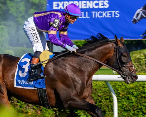 Connections Consider Melbourne Cup for Tawny Port