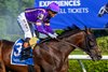 Tawny Port with Flavien Prat wins the Belmont Gold Cup (G2T)  in Saratoga Springs, N.Y., on June 4, 2026. 
