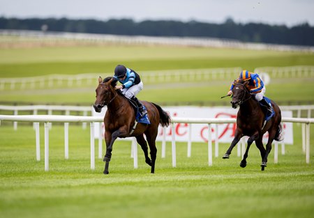 Giant Sequoia, with Ryan Moore up, breaks his maiden at the Curragh