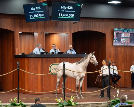 The Justify filly consigned as Hip 428 in the ring at the OBS June Sale