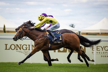 Bow Echo (outside) defeats Gstaad in the St. James's Palace Stakes at Ascot Racecourse