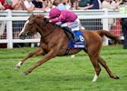 Thundering On (Dylan Browne McMonagle) wins the Oaks
Epsom 5.6.26 Pic: Edward Whitaker