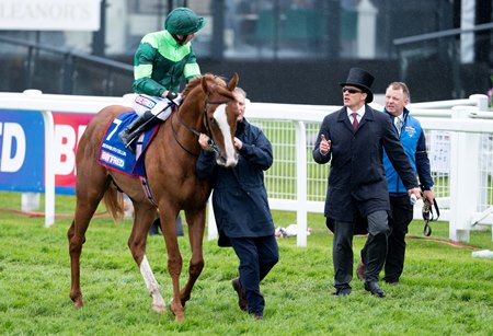 Benvenuto Cellini and Aidan O'Brien before the Epsom Derby at Epsom Downs Racecourse