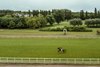 2026 Aktem Paris Breeze-Up Sale