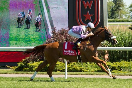 Miss Vyvyanne wins the Highlander Stakes at Woodbine