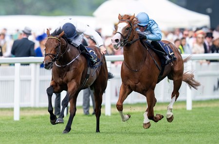 Take Charge Star (left) finishes second in the Jersey Stakes at Ascot Racecourse
