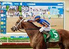 Multiple stakes-winner Journalism and jockey Umberto Rispoli, right, win the Grade II $300,000 San Diego Handicap Saturday, July 18, 2026 at Del Mar Thoroughbred Club, Del Mar, CA.  The well-traveled son of Curlin is trained by Michael McCarthy and owned by Eclipse Thoroughbred Partners, Bridlewood Farms, Don Alberto Stable, et al..
Benoit Photo