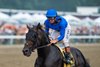 Knightsbridge ridden by Flavien Prat won the $350,000 Grade III Monmouth Cup at Monmouth Park Racetrack in Oceanport, NJ on Saturday July 18, 2026. Photo By Joe Labozzetta/EQUI-PHOTO