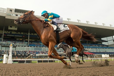 Creed's Gold Repeats in Hendrie Stakes