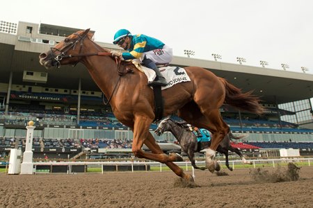 Creed's Gold wins the Hendrie Stakes at Woodbine