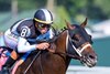 Built #8 with Irad Ortiz jr. in the saddle leads to the wire on the way to the win in the 42nd running of The Alfred G. Vanderbilt at the Saratoga Race Course Saturday July 25, 2026 in Saratoga Springs, N.Y. Photo by Skip Dickstein