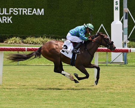 Calusa wins a maiden claiming race at Gulfstream Park