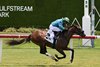 Calusa, Maiden Win, July 25 2026, Gulfstream Park
First winner for Aloha West