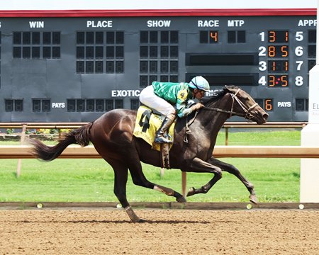 Scarlette Begonia delivers on debut at Ellis Park