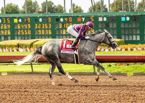 Sweet Azteca Grabs Third Consecutive Great Lady M