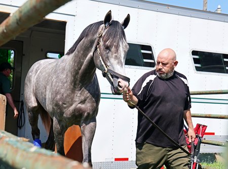 Napoleon Solo arrives at Monmouth Park