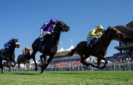 Gstaad (purple cap) and Opera Ballo (shadow roll) finish second and third to Bow Echo in the Sussex Stakes at Goodwood Racecourse