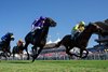 Bow Echo (Billy Loughnane) beats Gstaad (Ryan Moore) in the Sussex Stakes
Goodwood 29.7.26 Pic: Edward Whitaker