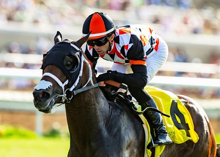 Proletariat romps in the Oceanside Handicap at Del Mar