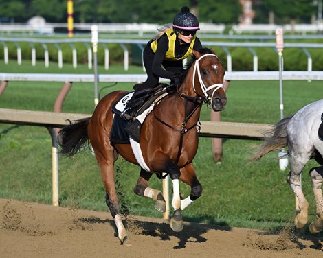 Renegade, Commandment Meet Again in Jim Dandy